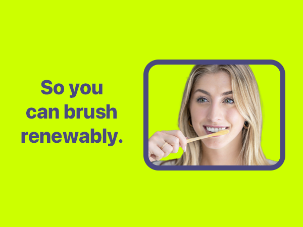 Brush Plastic-Free