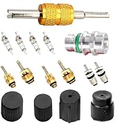 MOXRUQ Air Conditioning Valve Core Kit, AC High & Low Pressure Port Caps, R12 R134a AC Refrigerat...