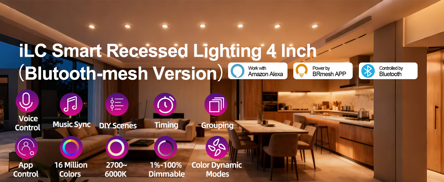 4inch Canless Light