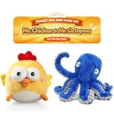 VOXGET 2 Pack Dog Plush Toy Balls for Small Large Dogs Keep Busy