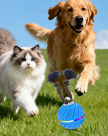 rolling dog ball
