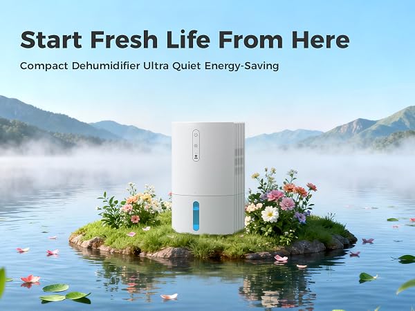 Quiet dehumidifier for home