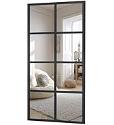 DUMOS Wall Mirror 16" x 32", Rectangle Window Pane Decorative Mirror, Metal Framed Wall Mounted M...