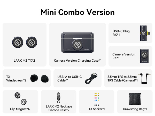 wireless microphone