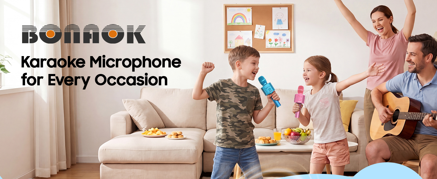 karaoke microphone