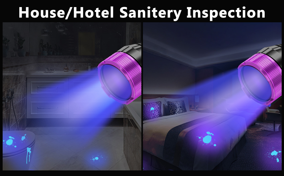 Inspect House/Hotel Sanitery