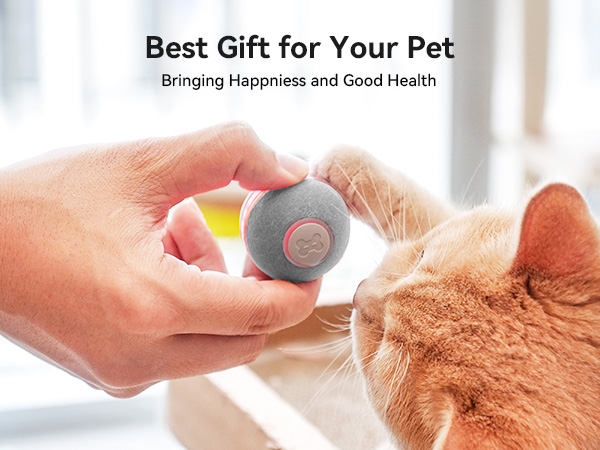 Cheerble Interactive Cat Toy