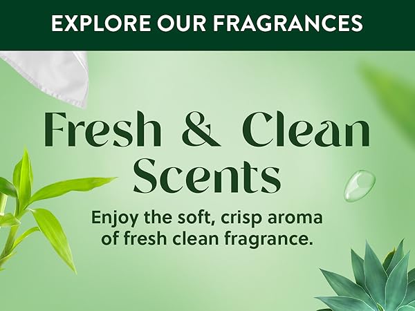 vanilla room spray,closet musty odor eliminator