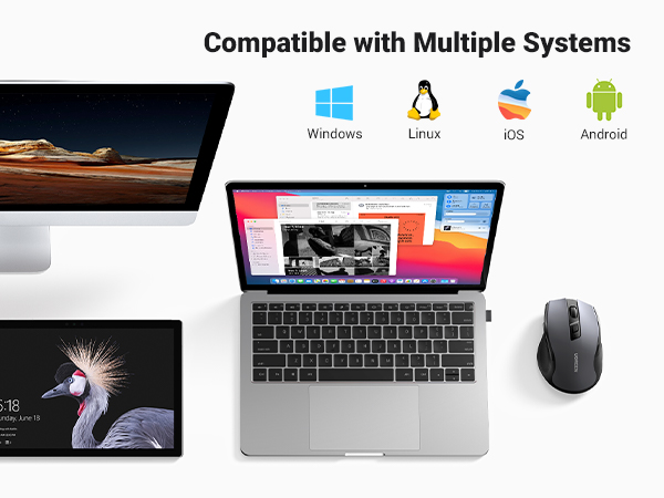 computer mice