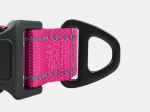 dog collar for small dogs