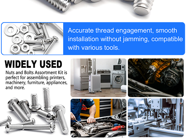 nuts and bolts assortment kit
