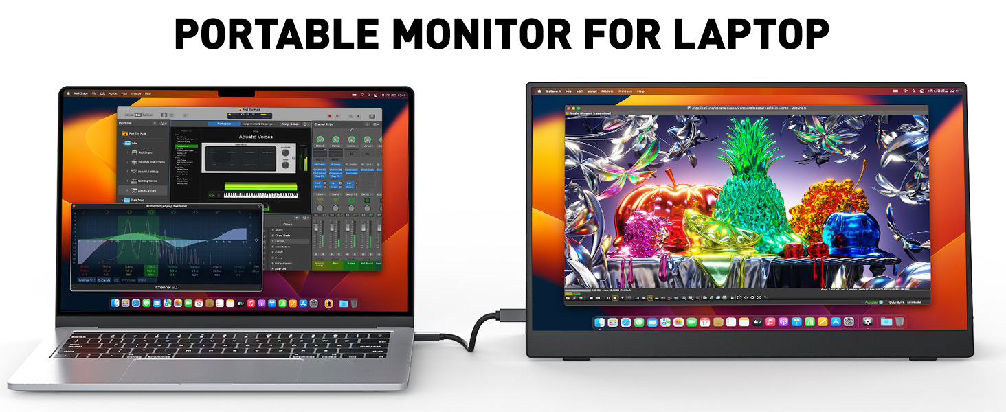 portable monitor