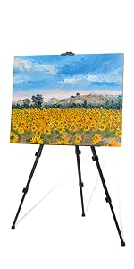 https://m.media-amazon.com/images/S/aplus-media-library-service-media/7e9258f6-3452-48d0-8d60-37f33cbbfdde.__CR0,0,300,600_PT0_SX150_V1___.jpg