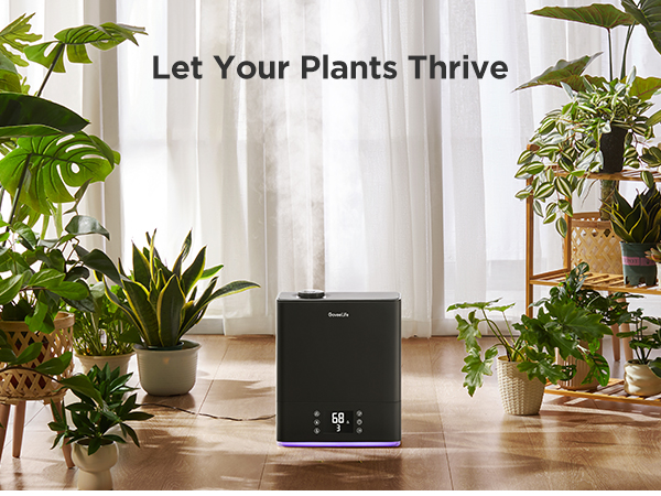 plants room