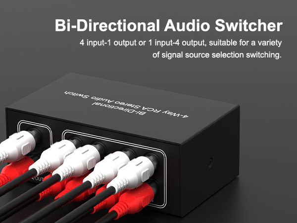 Audio Switch