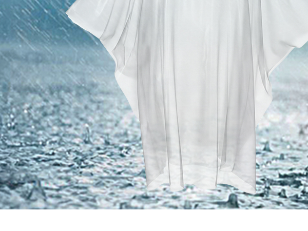 rain ponchos for adults