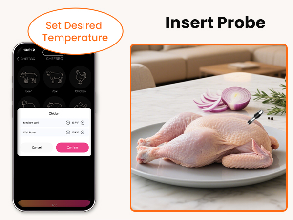 meat thermometer digital