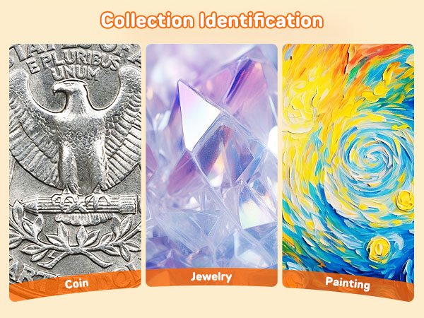 Collection Identification