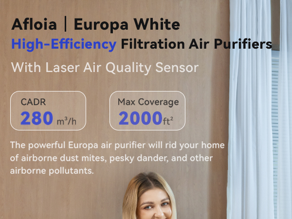 air purifiers for home large room