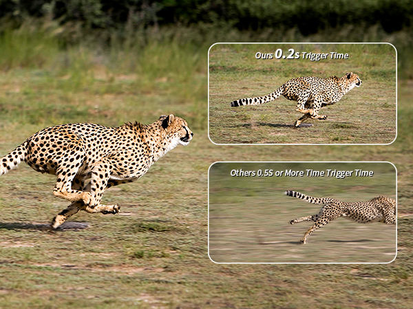 game camera