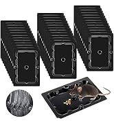 Qualirey 36 Pack Mouse and Insect Glue Traps, Strong Sticky Mice Traps Indoor for Home, Pre Scent...