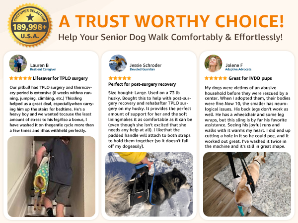 dog lift harness for medium dogs