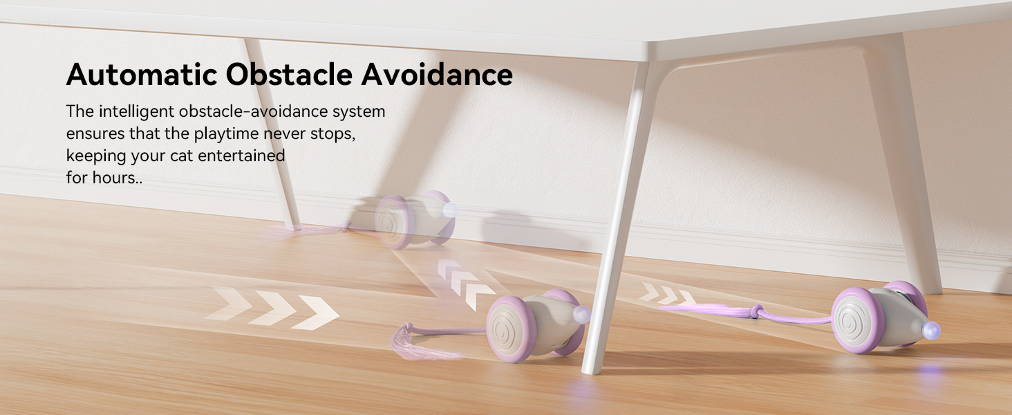 interactive ball cat toy