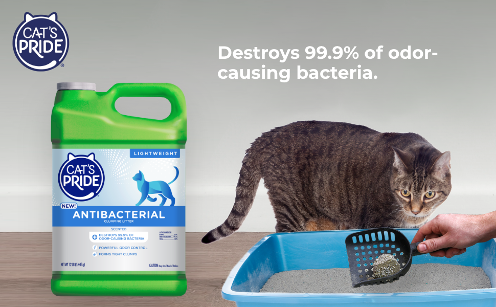 New Scented Antibacterial Litter