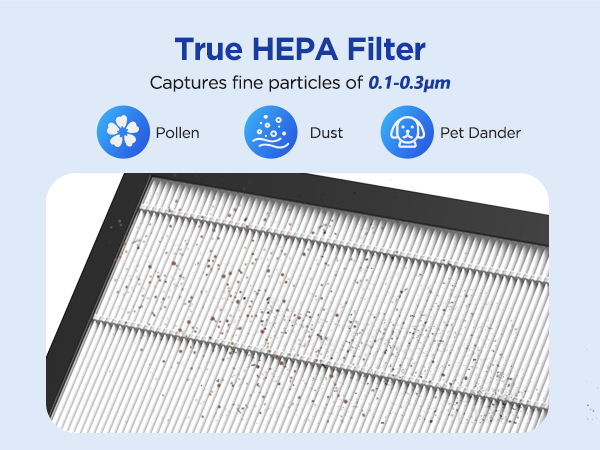H13 True HEPA filter captures wildfire smoke, perfect for hazy days