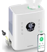 Humidifier