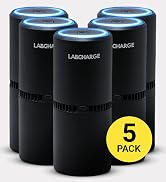 LabCharge Small Ionic Air Purifier for Home & Bedroom