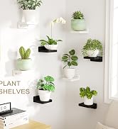 SRIWATANA Small Floating Shelves Wall Mounted, 4 Inch Wood Shelf for Decoration and Storage Set o...