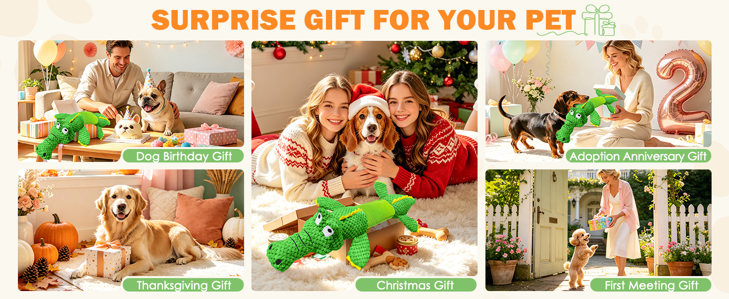 dog gifts