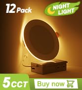 led recessed light with night light