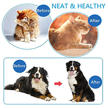 pet combs