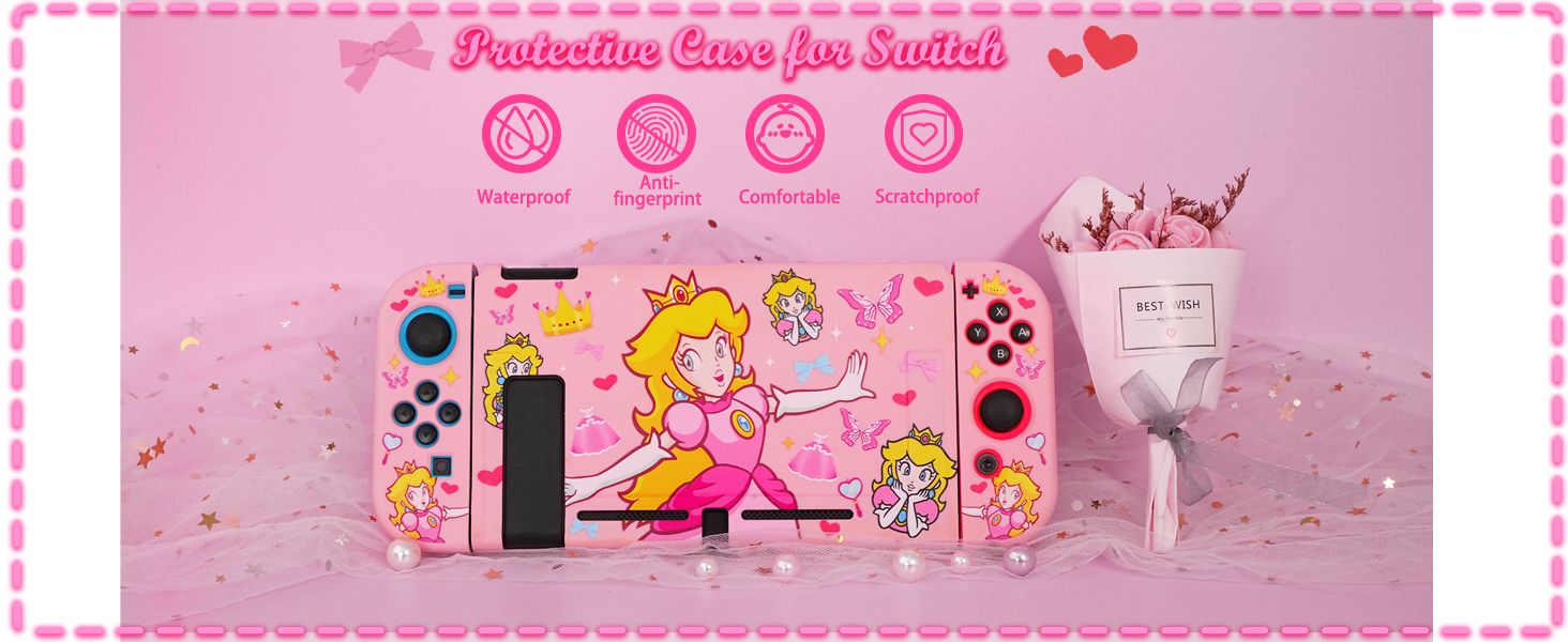 Switch Case 2017