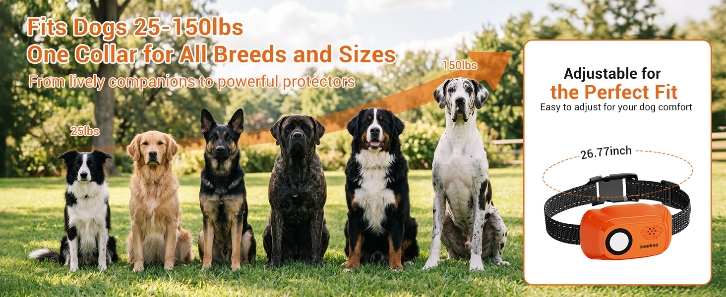 dog training collar with remote