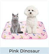 Pink Dinosaur