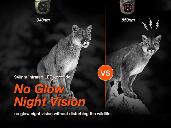 trail camera