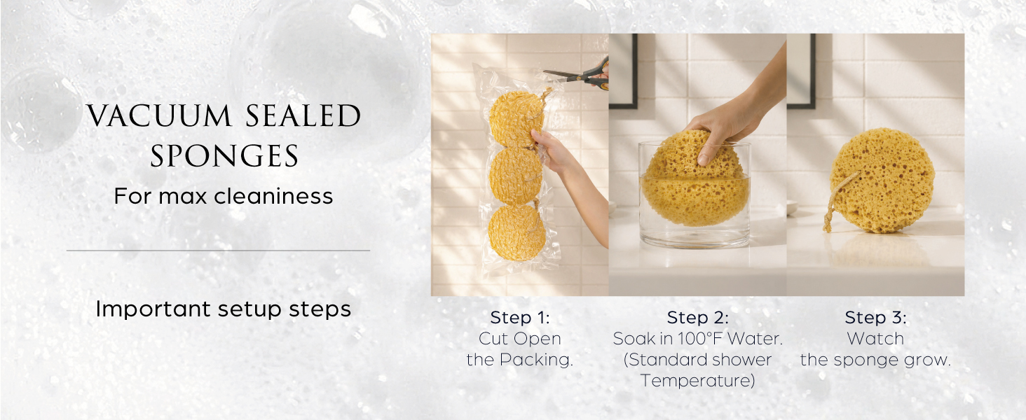 Exfoliatiing sponge