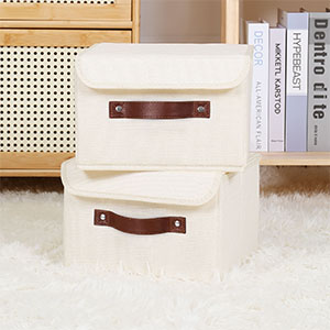 Beige Storage Bins