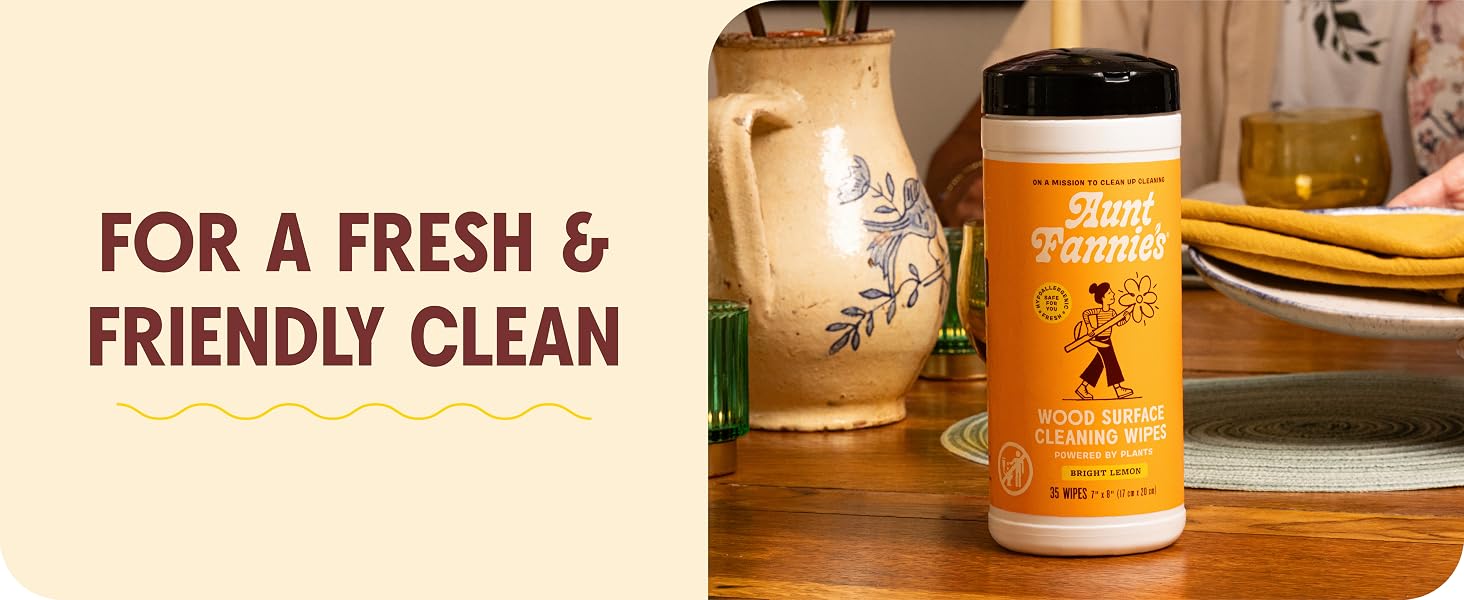 pink disinfectant toilet cleaner vinegar stainless steel