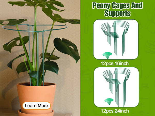 plant support stakes