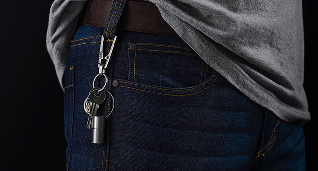 carabiner key clip