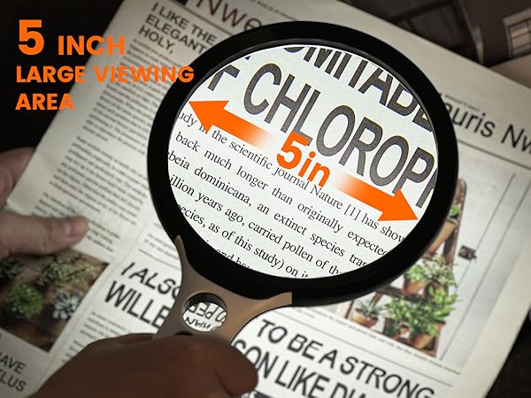 magnifying glass hand free