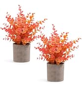 Coferset 2 Pack Fall Small Fake Plants Eucalyptus Potted Artificial Plants Fall Decorations for H...