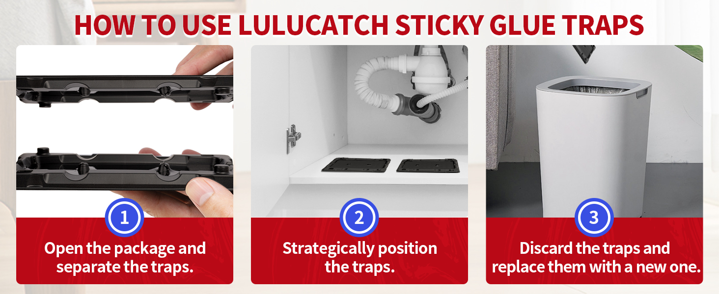 glue traps for mice