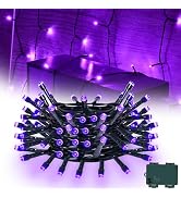 cshare Purple String Lights Battry Operated with Timer Waterproof, Halloween String Lights for Ou...