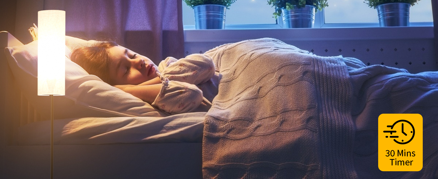 Frideko Floor Lamp with 30mins Timer