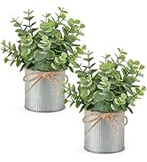 Mkono 2 Packs Small Fake Plants in Farmhouse Galvanized Pots Table Centerpiece Mini Faux Eucalypt...
